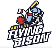 Bison logo